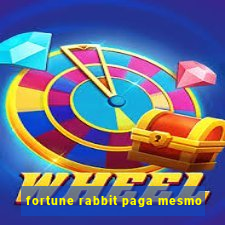 fortune rabbit paga mesmo